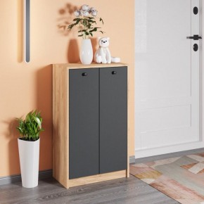 Тумба для обуви Рино в Соликамске - solikamsk.mebel24.online | фото 3