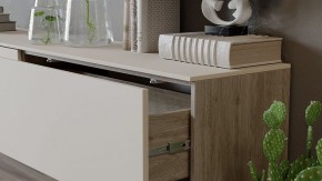 Тумба под ТВ Порто СМ-393.03.011 в Соликамске - solikamsk.mebel24.online | фото 6