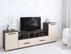 Тумба ТВ Парус-2 венге/дуб молочный в Соликамске - solikamsk.mebel24.online | фото
