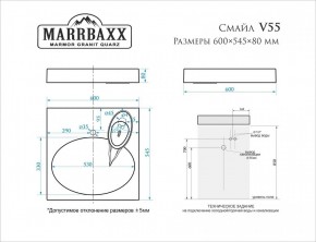 Умывальник над стиральной машиной (600*545*80) Смайл V55D1 (белый) с кронштейном без сифона (V55D1) в Соликамске - solikamsk.mebel24.online | фото 2