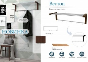 Вешалка-полка Вестон в Соликамске - solikamsk.mebel24.online | фото 3