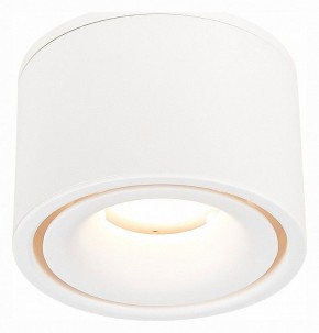 Встраиваемый светильник на штанге ST-Luce ST652 ST652.548.12 в Соликамске - solikamsk.mebel24.online | фото 3