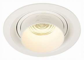 Встраиваемый светильник ST-Luce Zoom ST701.538.12 в Соликамске - solikamsk.mebel24.online | фото 2