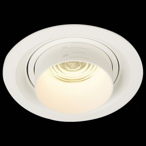 Встраиваемый светильник ST-Luce Zoom ST701.538.12 в Соликамске - solikamsk.mebel24.online | фото 4