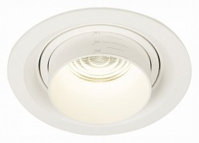 Встраиваемый светильник ST-Luce Zoom ST701.548.12 в Соликамске - solikamsk.mebel24.online | фото 2